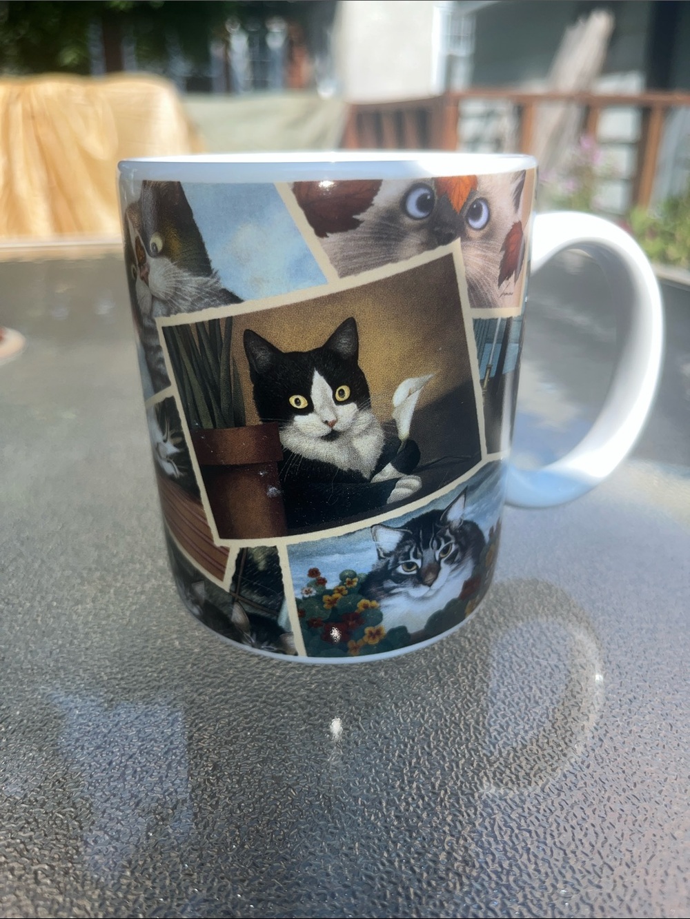 Cat Photo Collage Ceramic Mug - White